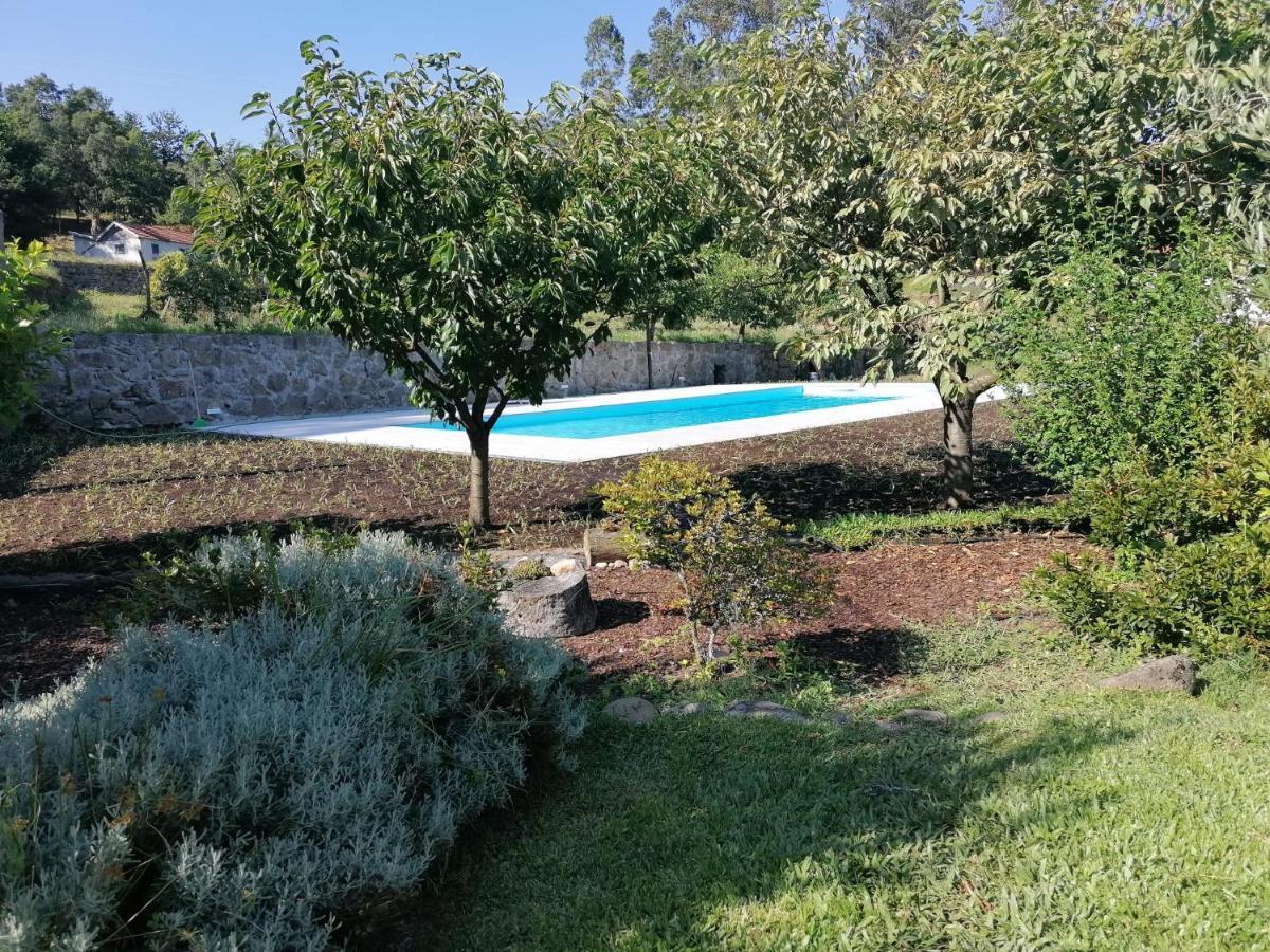 Villa Quinta Vale Do Nox à Serrazes Extérieur photo