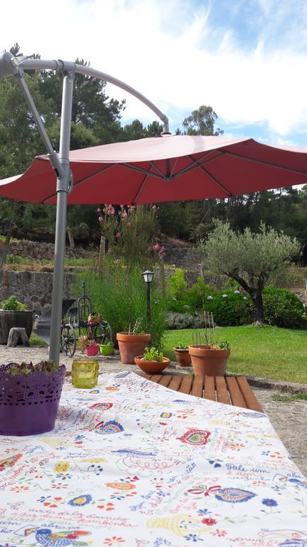 Villa Quinta Vale Do Nox à Serrazes Extérieur photo